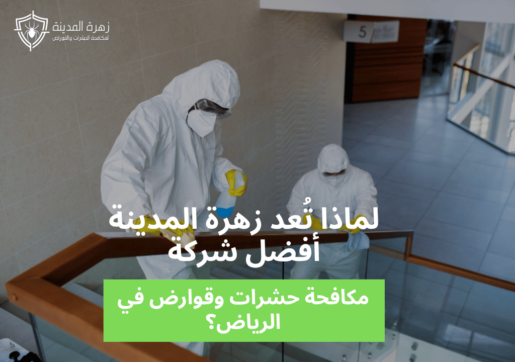 لماذا تُعد زهرة المدينة أفضل شركة مكافحة الحشرات والقوارض بالرياض؟ 1