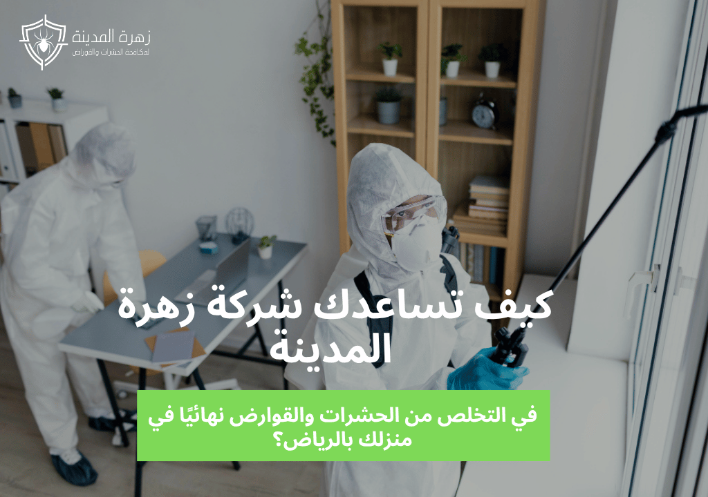 كيف تساعدك شركة زهرة المدينة في التخلص من الحشرات والقوارض نهائيًا في منزلك بالرياض؟ 2