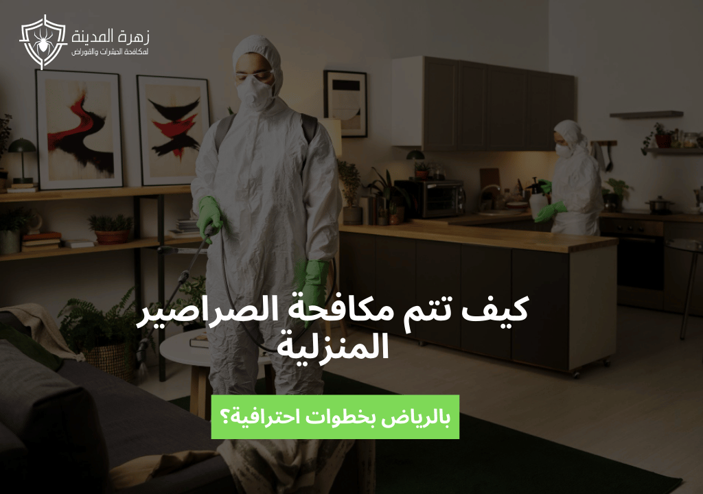 كيف تتم مكافحة الصراصير المنزلية بالرياض بخطوات احترافية؟