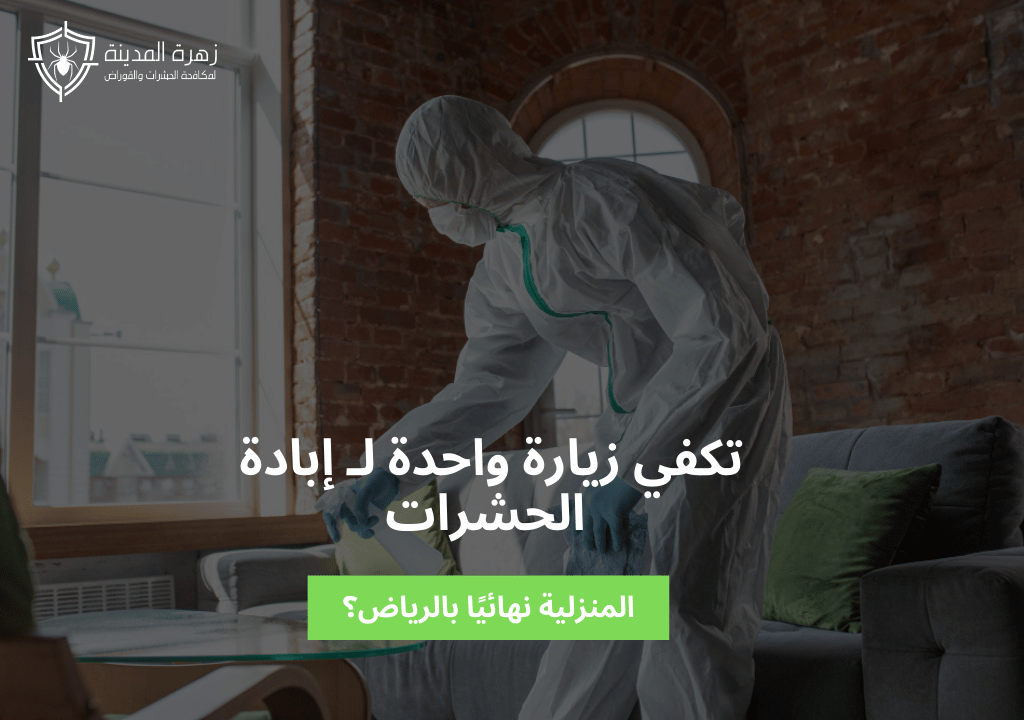 هل تكفي زيارة واحدة لـ إبادة الحشرات المنزلية نهائيًا بالرياض؟